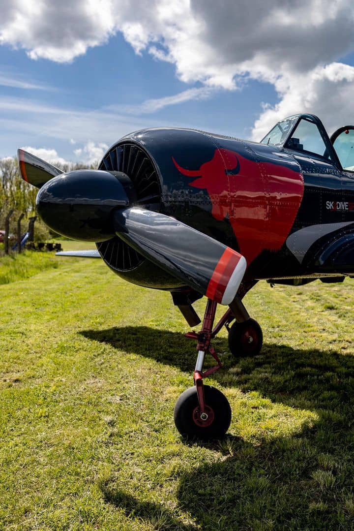 Immaculate 1981 Yakovlev Yak-52 — Yakovlev — Exterior — photo 6