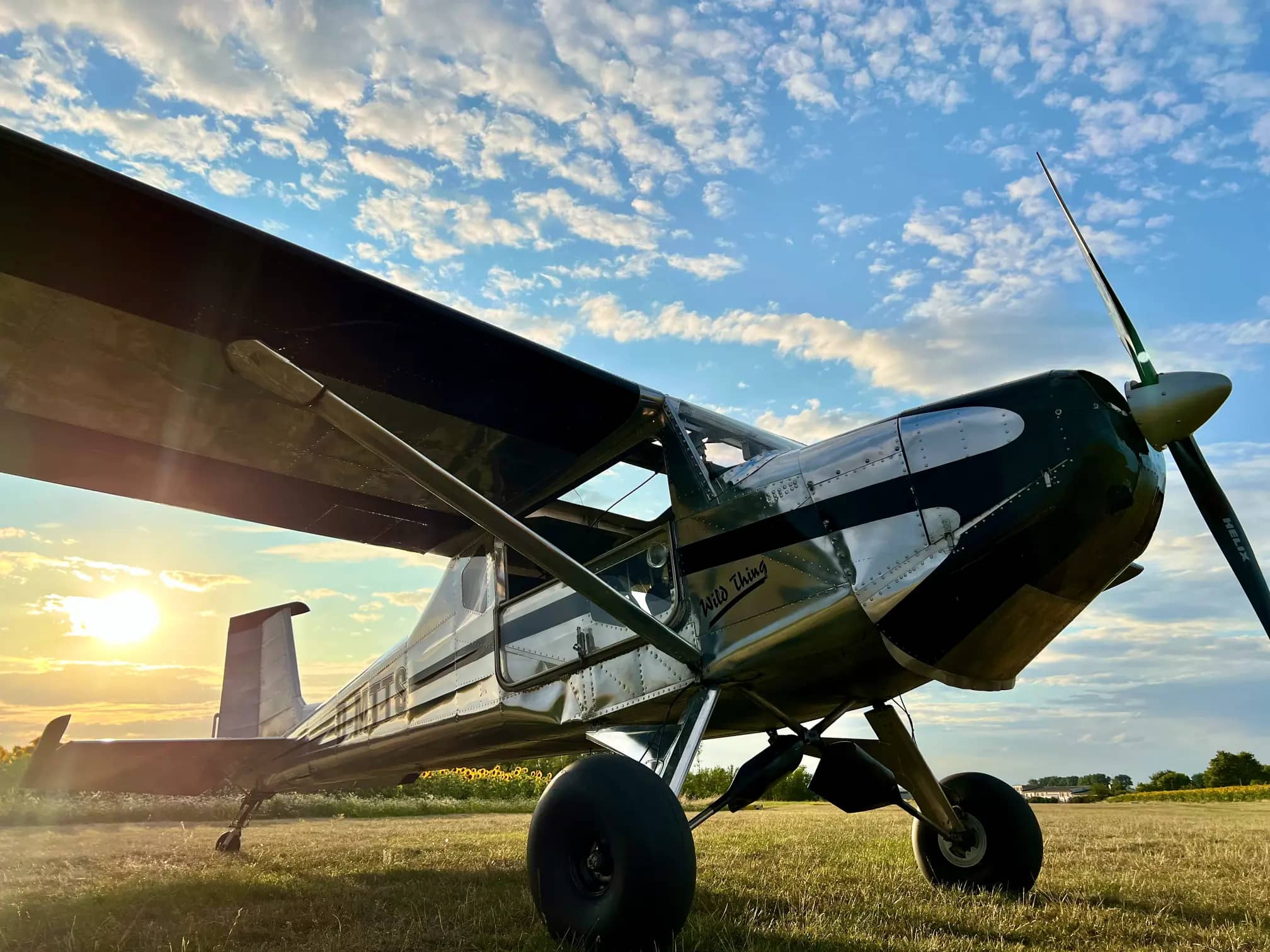 Polished ULBI Wild Thing WT-01 — ULBI — Exterior — photo 8