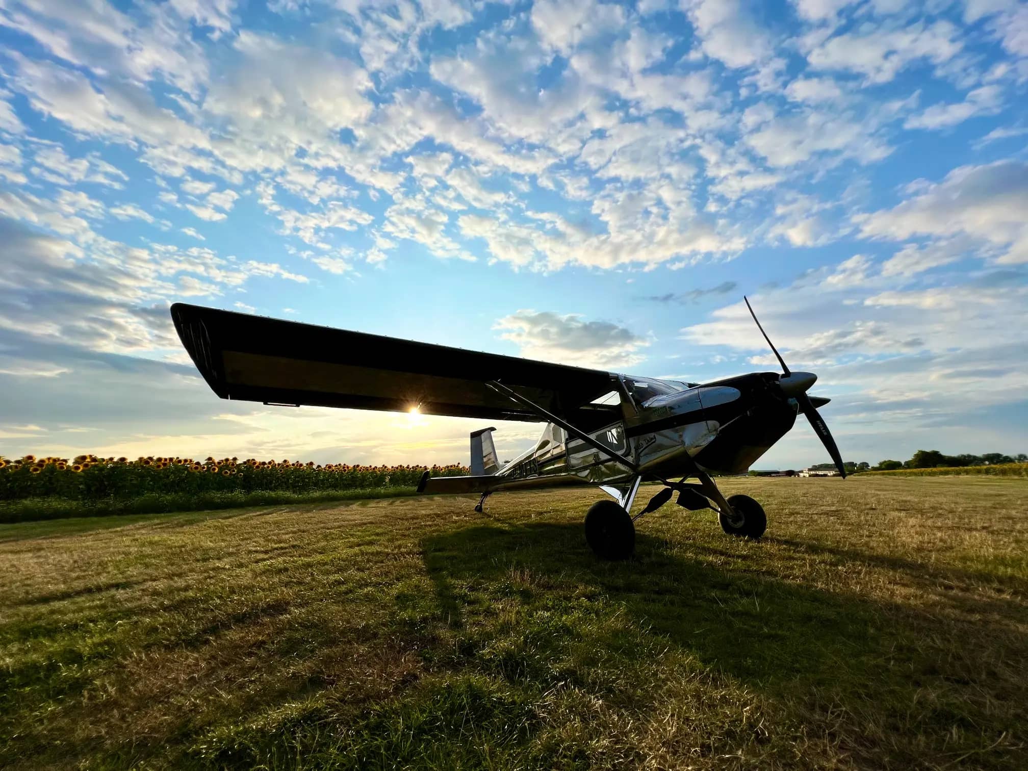 Polished ULBI Wild Thing WT-01 — ULBI — Exterior — photo 6