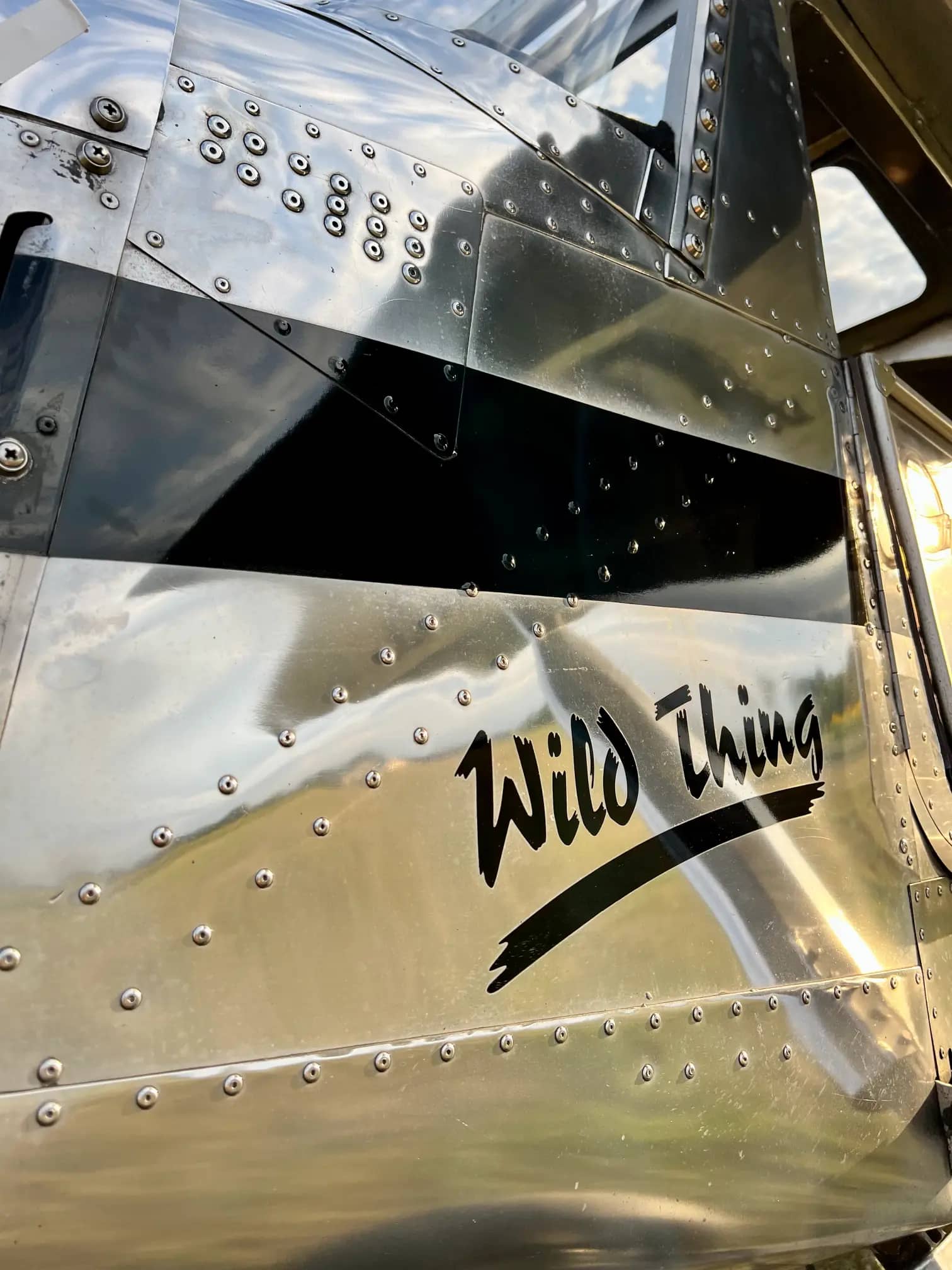 Polished ULBI Wild Thing WT-01 — ULBI — Exterior — photo 3