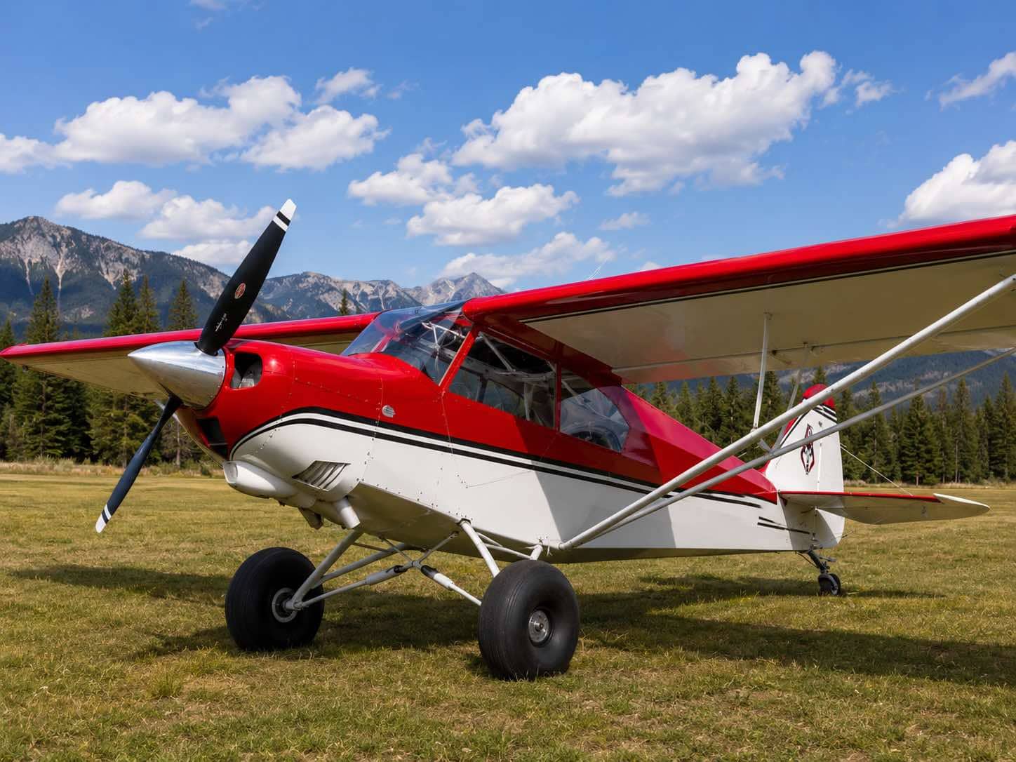 Aviat Husky A-1C — Aviat Aircraft — Exterior — photo 2